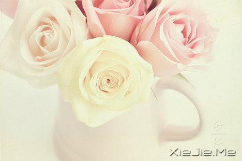 һ��һ�⣬������������������� (3)