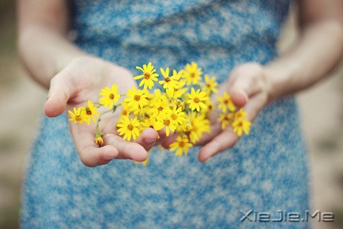 �ú������һ���ӽ��Ҹ����� (7)