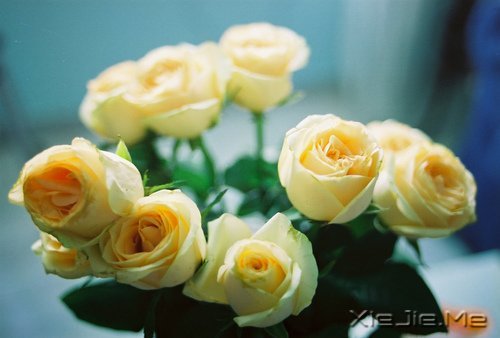 ������ʵ���Լ���������õ� (10)