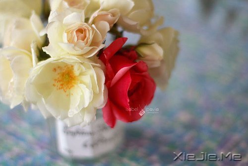 �Ҳ��³��󣬶�����������ȥ (7)