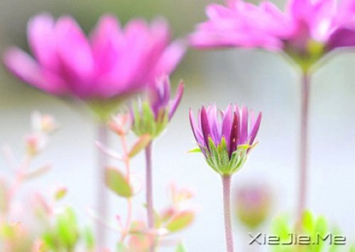 �е����㿴��һ�ۣ�ȴ������һ�� (4)