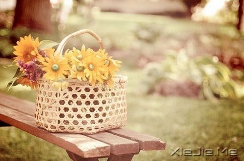 ���Լ��ķ羰�����Լ������� (2)