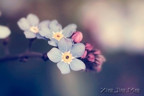 ������������ô��⣬���Լ�������һ��Ҫ���� (5)