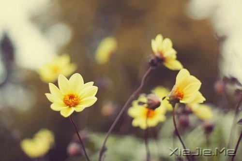 ��Ȼһ�У��������� (8)