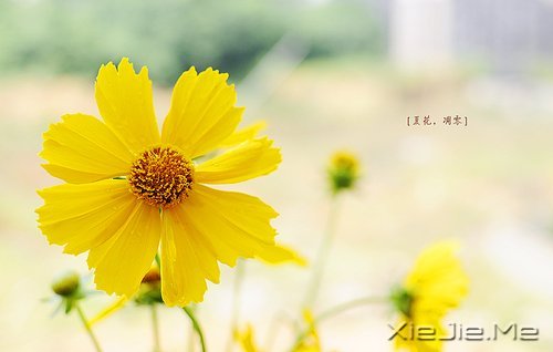 �������������Լ�һ��΢Ц (1)