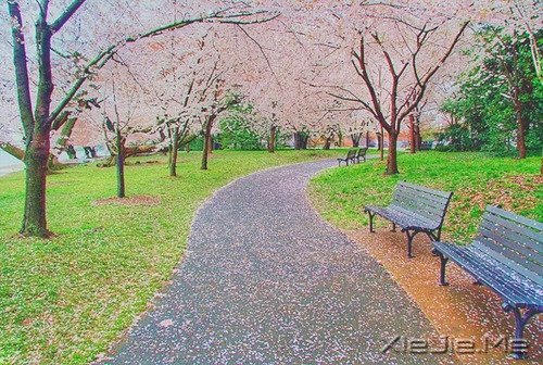 ������û��������Ȼ��ֻ���ĸ���Ը (9)