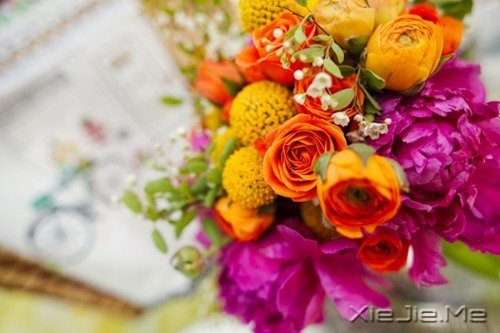 �Ҳ��������������������Լ� (4)