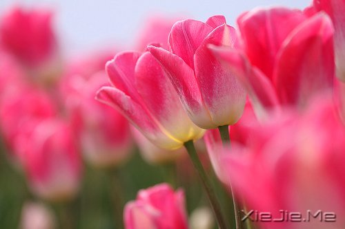 �ܲ���ʱ����ܹ�������Լ� (6)