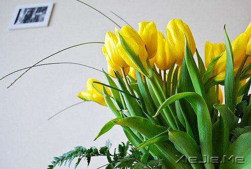 �Ҹ�Ӧ���������ɣ����������ö� (2)