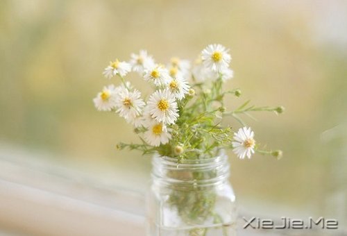 ��������ĸ��ӣ���������Թ� (2)