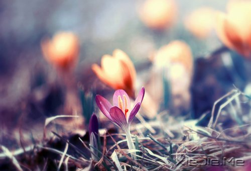 ��������ҵ�������· (3)