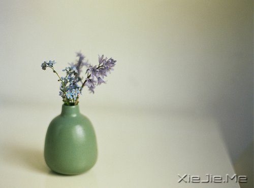 ���������;�У������Լ� (1)