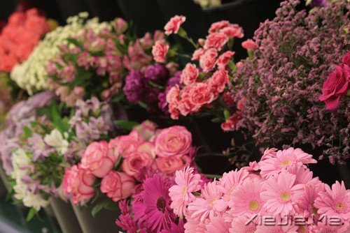 ��������˲������ں�ҹ���������û�й� (3)