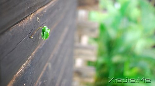 �簲�����Ը��ӣ����ֻ�ϲ (9)