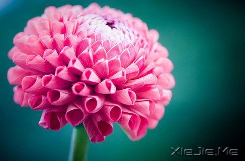 �簲������������ڱ��˵Ĺ���������Լ������� (3)