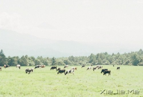 �Ҹ����Լ��ģ���Զ��Ҫ�ñ����������� (6)