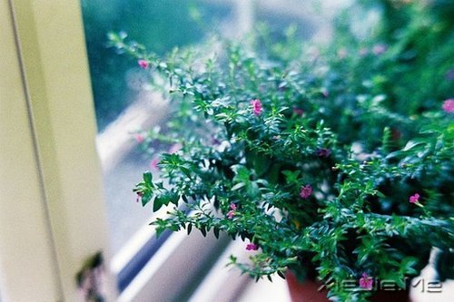 �簲���ʱ���ҧ�ˣ��㲻�߾ͻ������˺� (2)