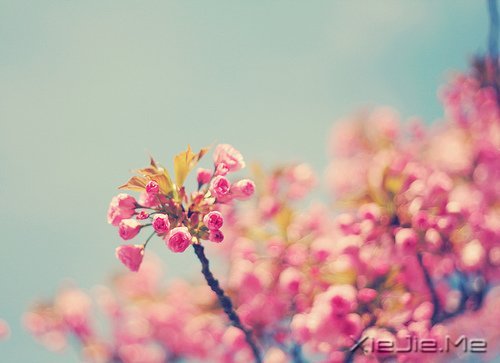 ��ɽ��ˮԶ�ĵ�·���վ���Ҫ�Լ�����ȥ (2)