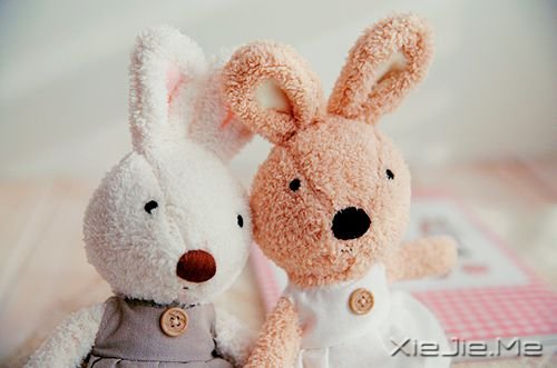 �簲�����Ҫ����ʵ�֣��ȴ��������� (8)