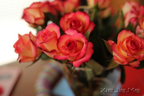 �������Ըϸˮ����ʱ��������� (6)