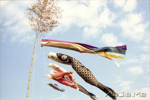 �簲�����Ȼ����������һ�ֳɳ� (4)