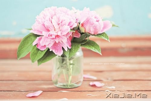 ��������¸����΢Ц��� (6)