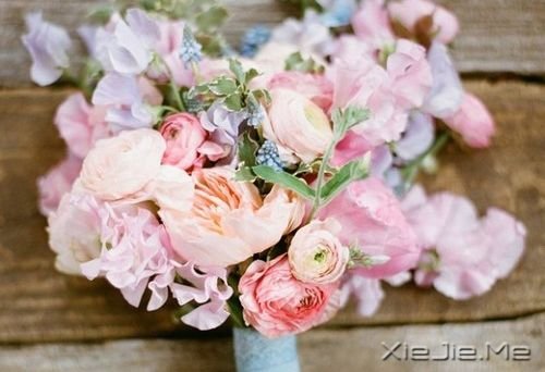 �������Ը���Ϊ�Լ���̫�� (2)