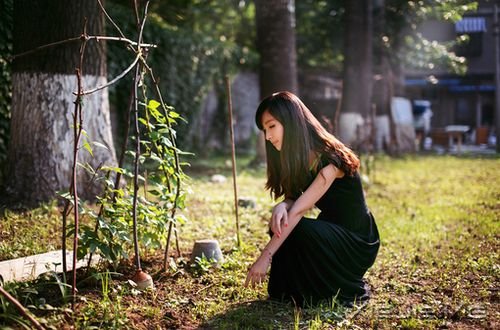 �簲���ֻ��ȫ���Ը������������� (5)