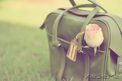 �簲����ղ�ס��ɳ������������ (5)