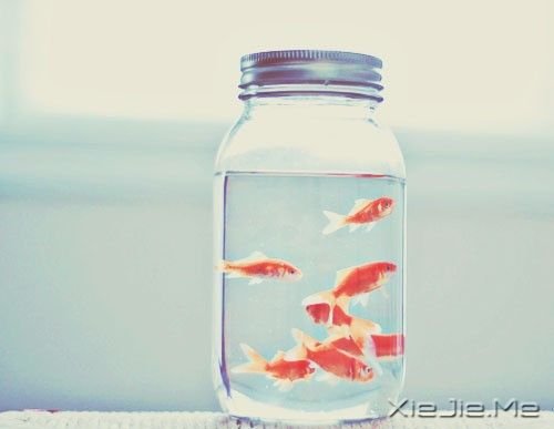 ����������������ĵط������᲻�� (5)