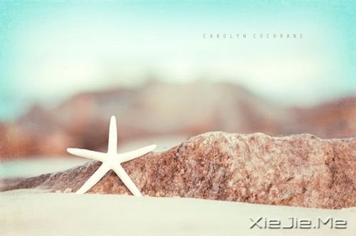 ����������ַſ�����õ�����һ�� (9)