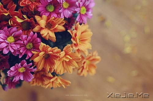 �����������һ�ο���������˲�䳤�� (4)