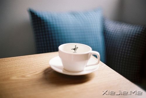 ��������ҵ�Ը���ǣ�һ��˯��Сʱ�� (10)