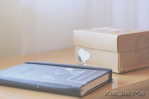 ����������ñ�������������ഺ (4)