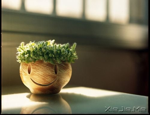 �簲�������Ůһ�����£���ү�Ƕ�һ��˼�� (5)