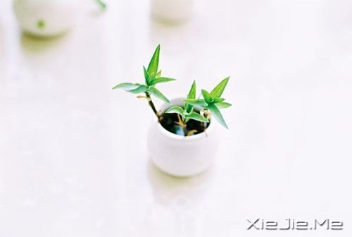 ���������һ������бܶ����� (3)