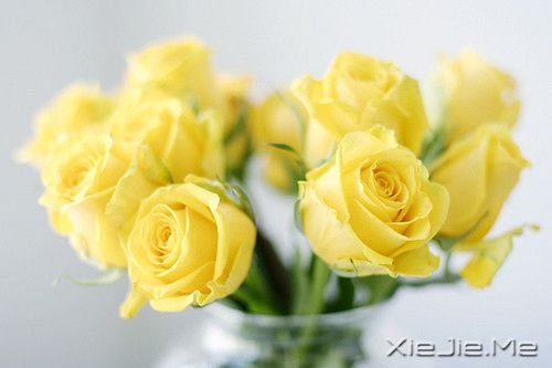 ������������ˣ���������ů�İ� (1)