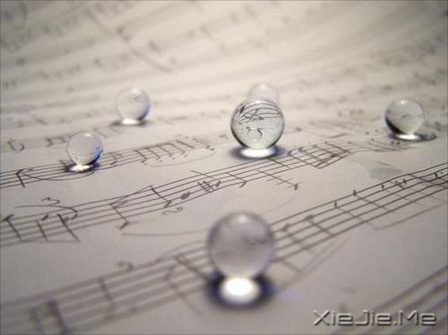 �������������㣬����Ҫ�κ�����֤�� (3)