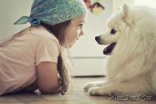 С����ͼƬ (11)