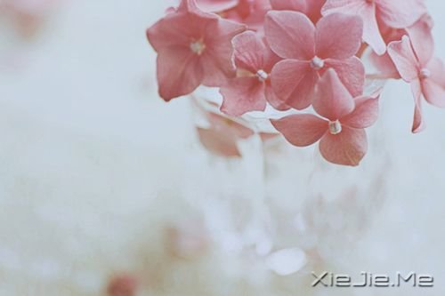 С����ͼƬ (23)