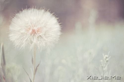 С����ͼƬ (7)