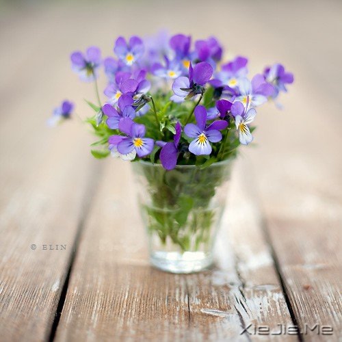 ��ϧ�˴˰�������