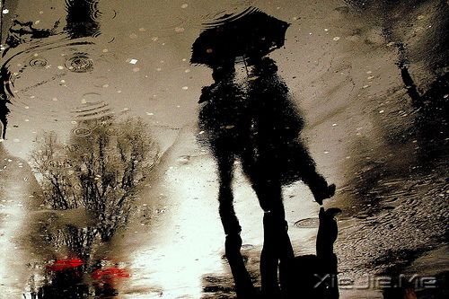 14�׹�����Ĵ������Ƽ� (14)