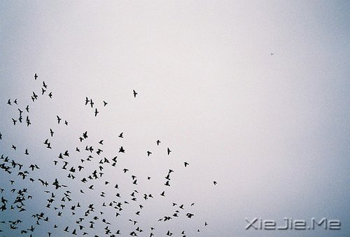 ���֣������������Ҫ��һ���� (6)