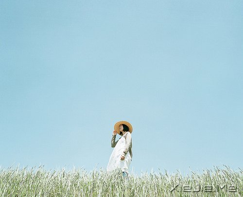 ���֣�ϯĽ������ѡ (9)