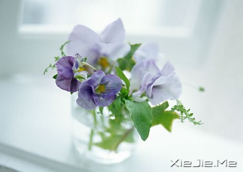 ��������Ĵ�˵