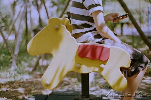 �Ҿ����ң���ɫ��һ�����̻� (6)