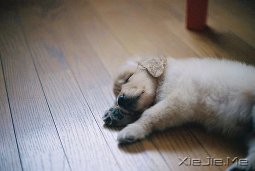 ����ϵͼƬ (2)