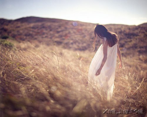 ���������������������ż�ǿ (7)