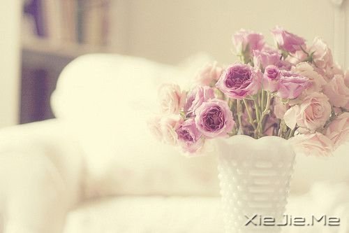 �����岻�� (3)